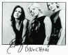Dixie Chicks.jpg (26002 bytes)