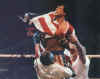 S Stallone1.jpg (21058 bytes)