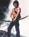 S Stallone2.jpg (21800 bytes)